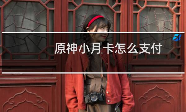 原神小月卡怎么支付