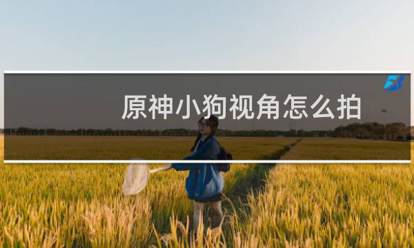 原神小狗视角怎么拍