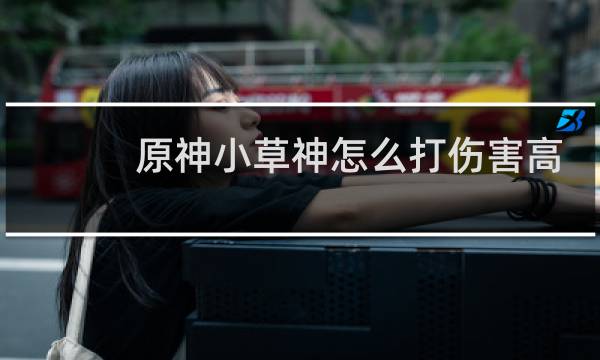 原神小草神怎么打伤害高