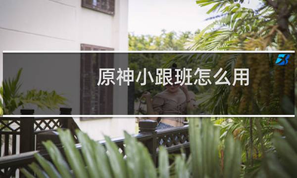 原神小跟班怎么用