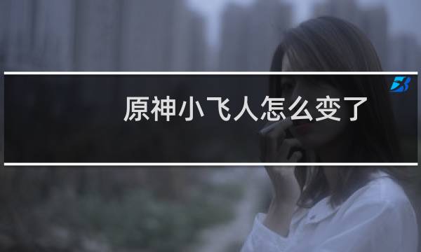 原神小飞人怎么变了