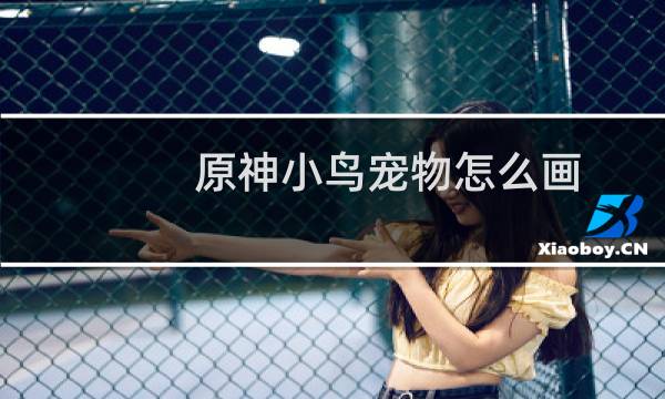 原神小鸟宠物怎么画