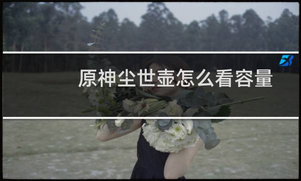 原神尘世壶怎么看容量