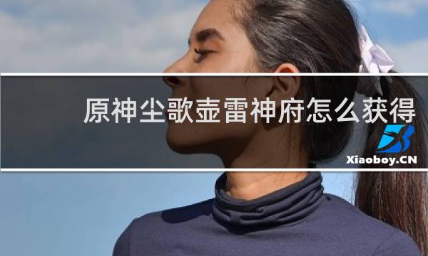 原神尘歌壶雷神府怎么获得