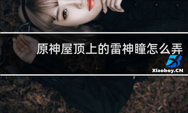 原神屋顶上的雷神瞳怎么弄