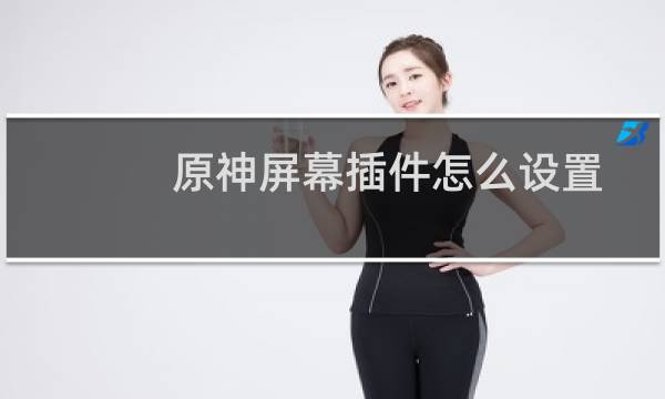 原神屏幕插件怎么设置