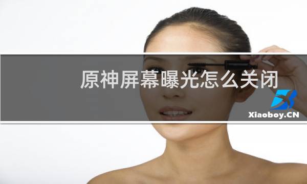 原神屏幕曝光怎么关闭