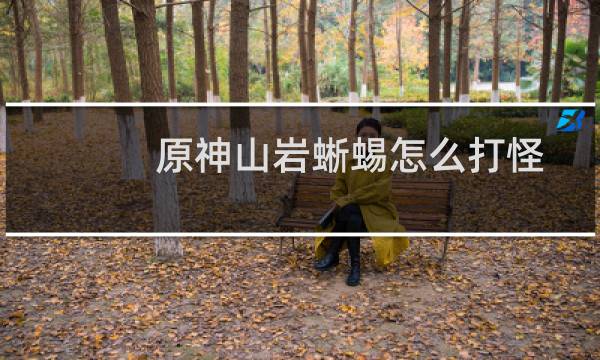 原神山岩蜥蜴怎么打怪