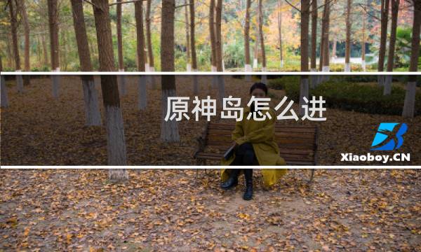 原神岛怎么进
