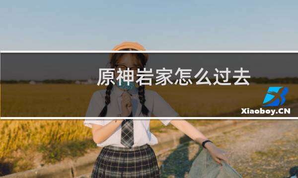 原神岩家怎么过去