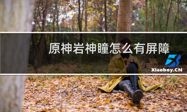 原神岩神瞳怎么有屏障