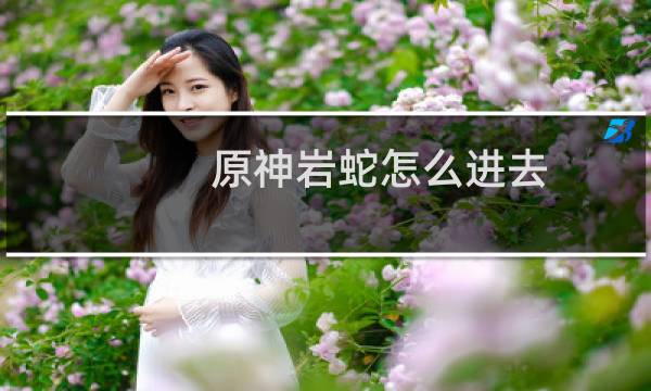 原神岩蛇怎么进去
