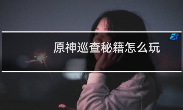 原神巡查秘籍怎么玩