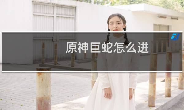 原神巨蛇怎么进