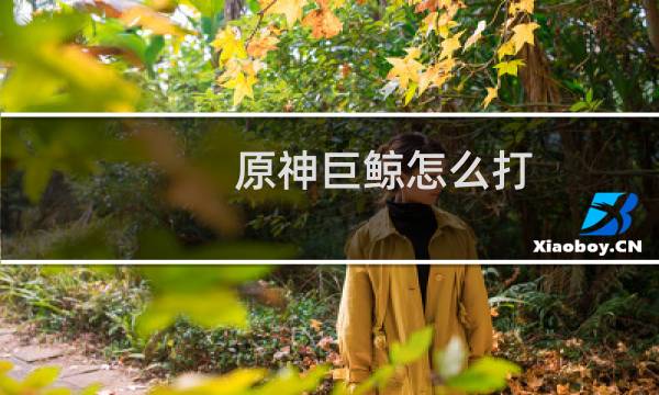 原神巨鲸怎么打