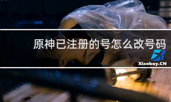 原神已注册的号怎么改号码