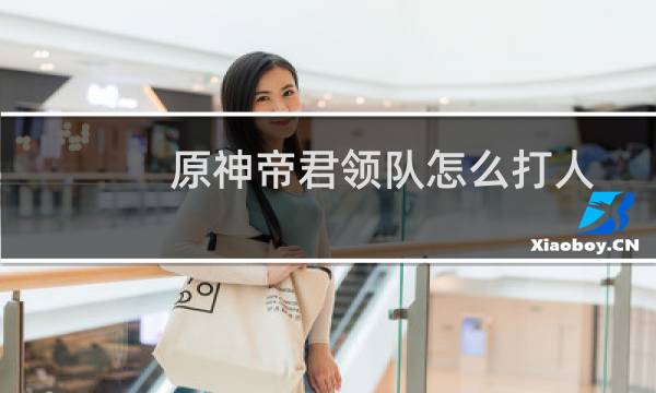 原神帝君领队怎么打人