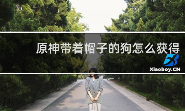 原神带着帽子的狗怎么获得