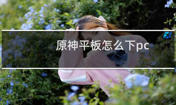 原神平板怎么下pc