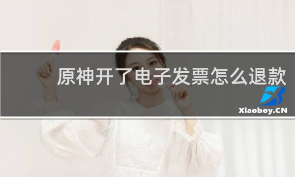 原神开了电子发票怎么退款