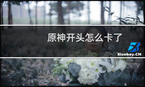 原神开头怎么卡了