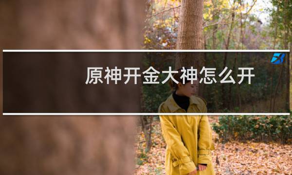 原神开金大神怎么开