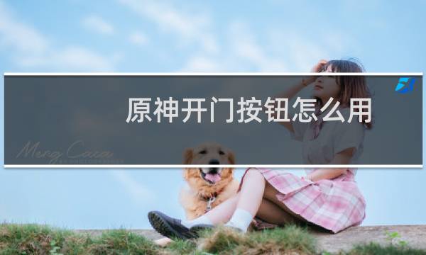 原神开门按钮怎么用