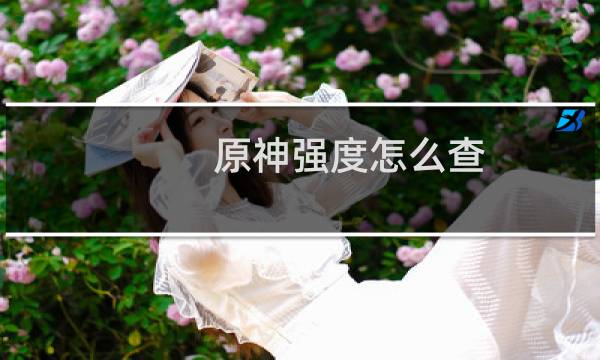原神强度怎么查