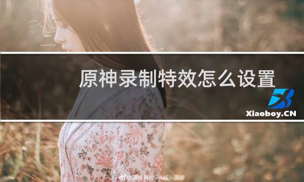 原神录制特效怎么设置