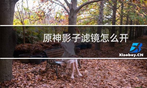 原神影子滤镜怎么开