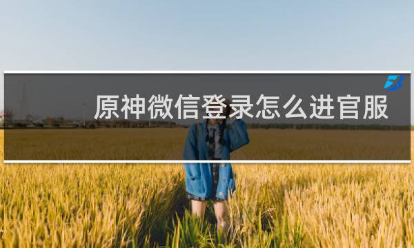 原神微信登录怎么进官服