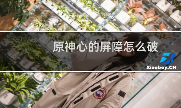 原神心的屏障怎么破
