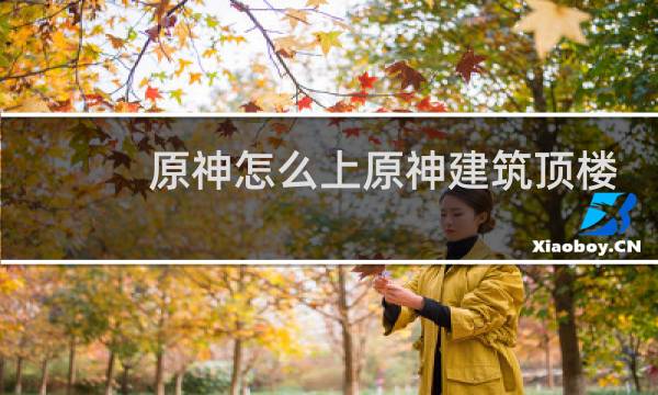 原神怎么上原神建筑顶楼