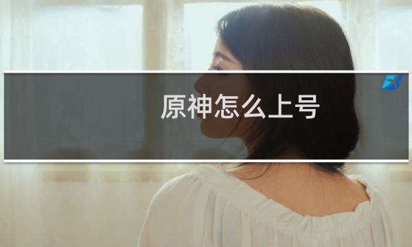 原神怎么上号