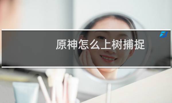 原神怎么上树捕捉