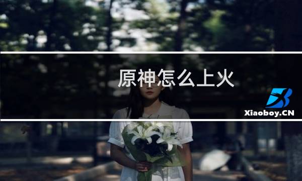 原神怎么上火