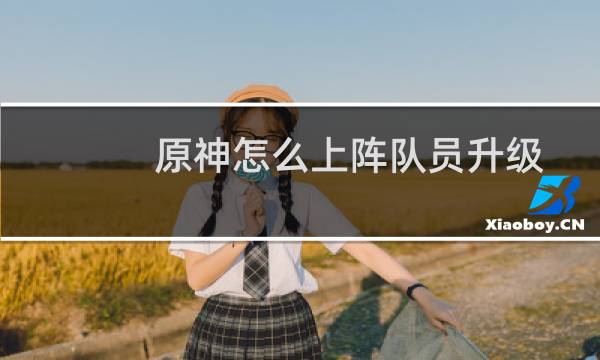 原神怎么上阵队员升级