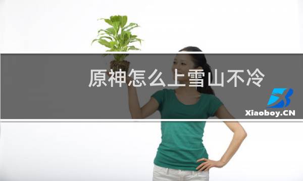 原神怎么上雪山不冷