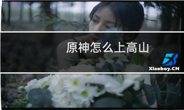 原神怎么上高山