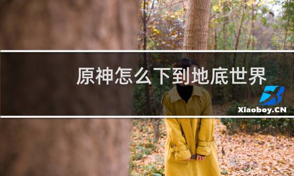 原神怎么下到地底世界