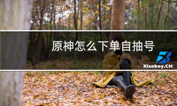 原神怎么下单自抽号