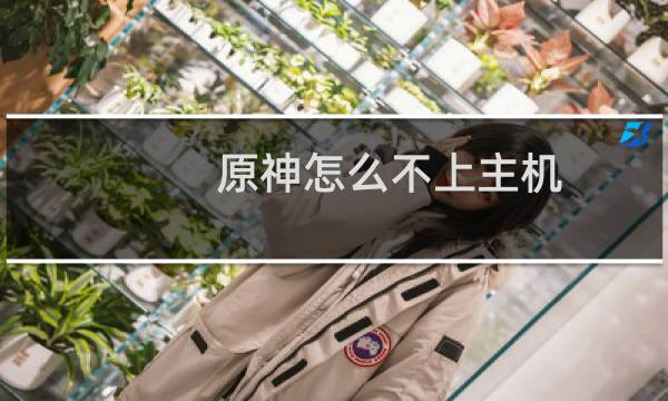 原神怎么不上主机