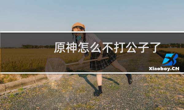 原神怎么不打公子了