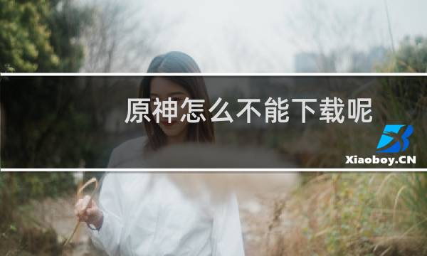 原神怎么不能下载呢