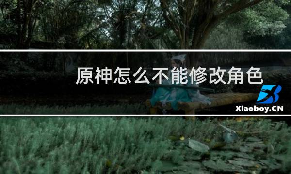 原神怎么不能修改角色
