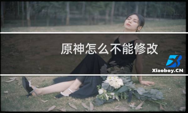 原神怎么不能修改
