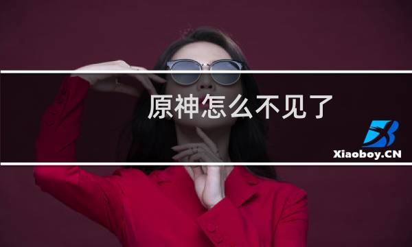 原神怎么不见了