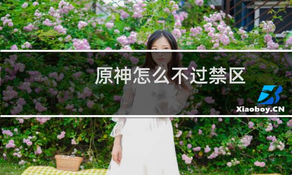 原神怎么不过禁区