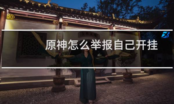 原神怎么举报自己开挂