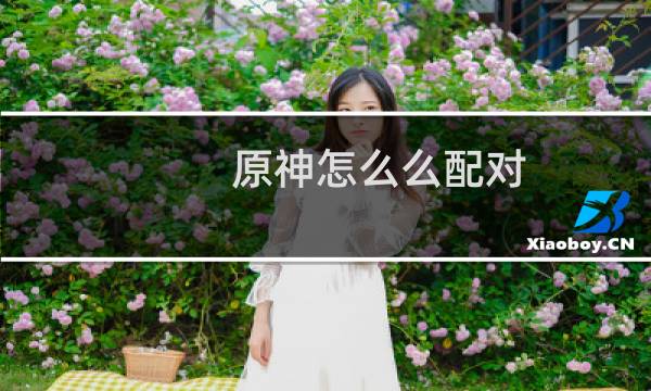 原神怎么么配对